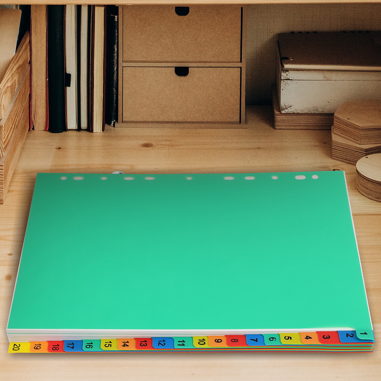 20 Pages A4 Colorful Plastic T - Tab Divider A4 ulasan dan harga