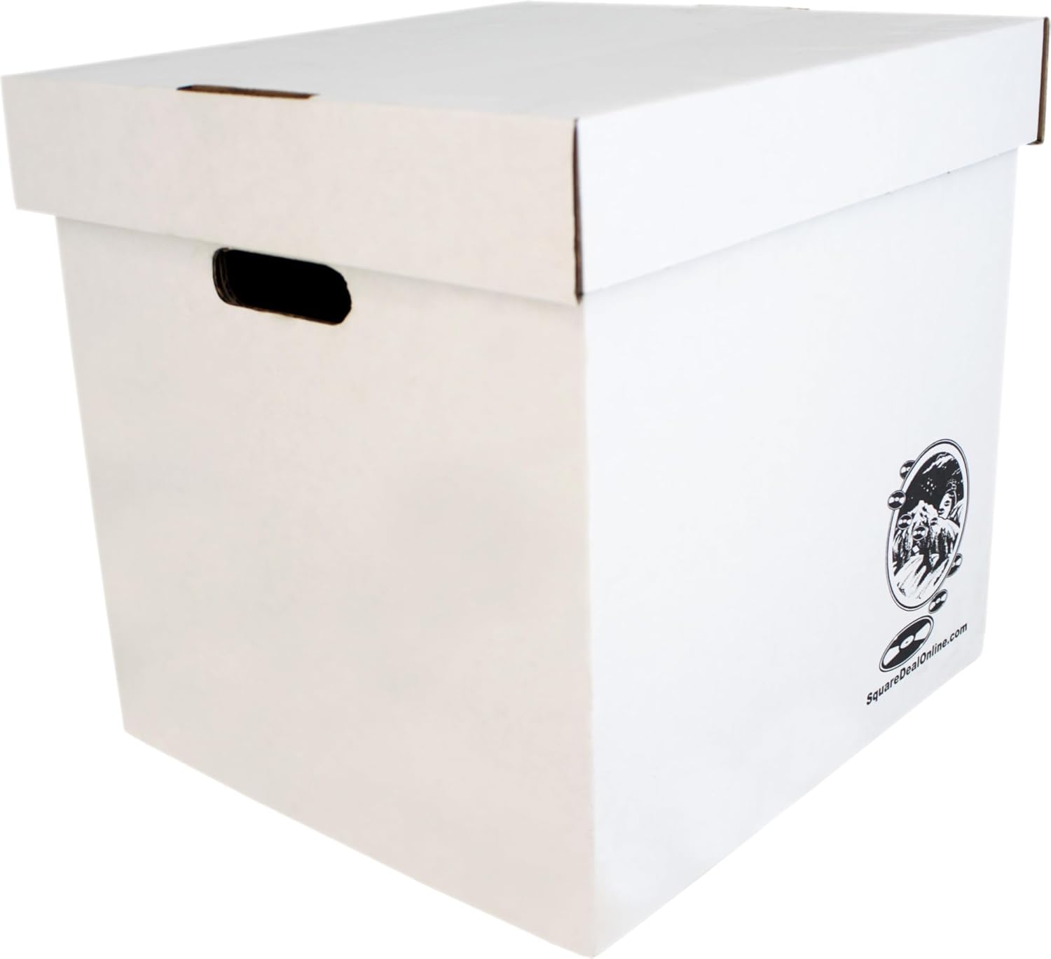 Set of 5 Heavy-Duty 12-Inch Vi - Archive Box Set ulasan dan harga